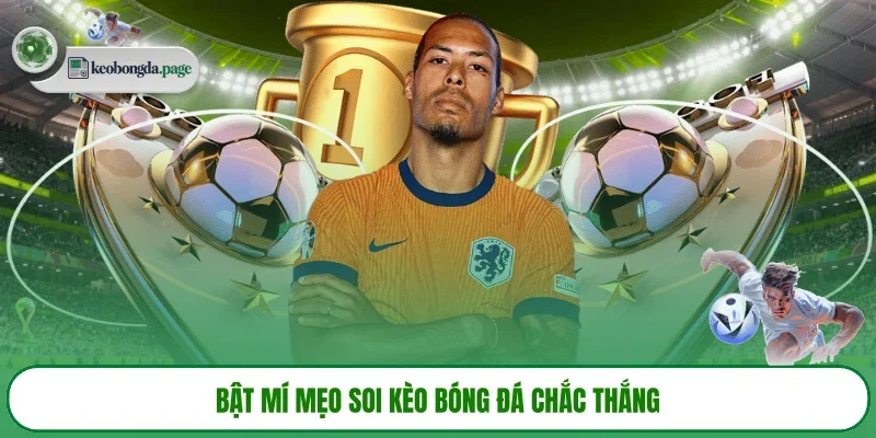 Bật mí mẹo soi kèo bóng đá chắc thắng 