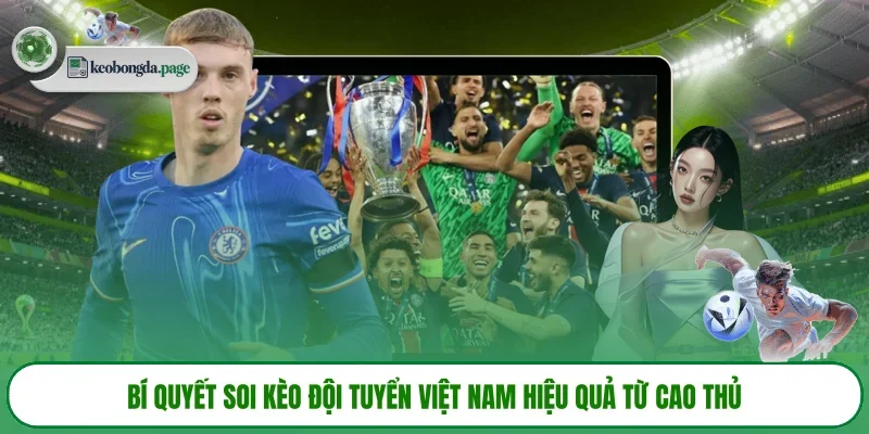 Bí quyết soi kèo đội tuyển Việt Nam hiệu quả từ cao thủ