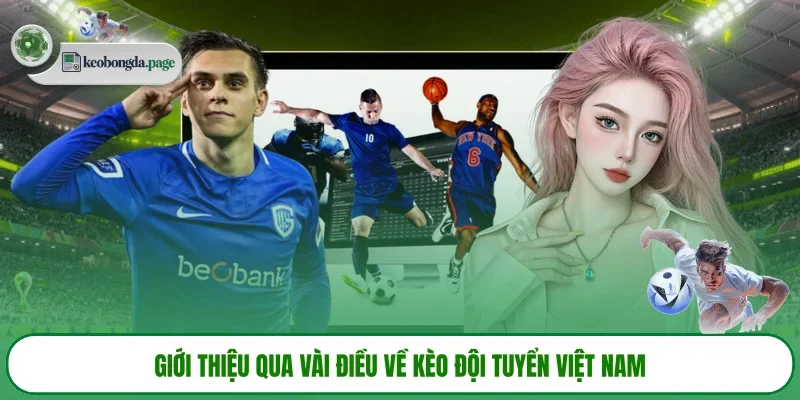 Giới thiệu qua vài điều về kèo đội tuyển Việt Nam