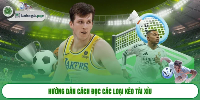 Hướng dẫn cách đọc các loại kèo Tài Xỉu 