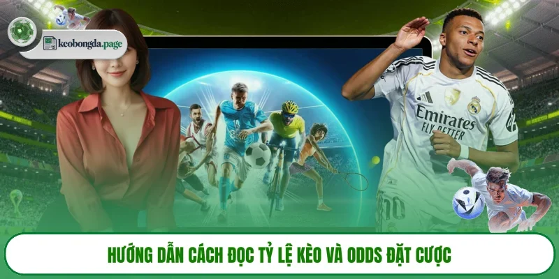 Hướng dẫn cách đọc tỷ lệ kèo và odds đặt cược