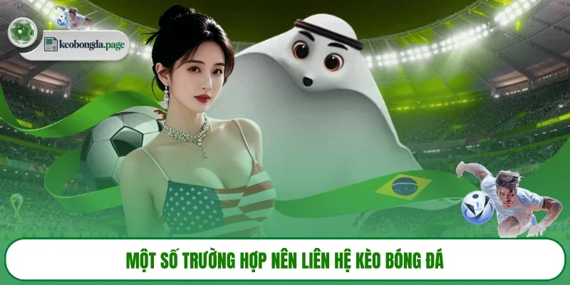 Một số phương thức liên hệ phổ biến tại website