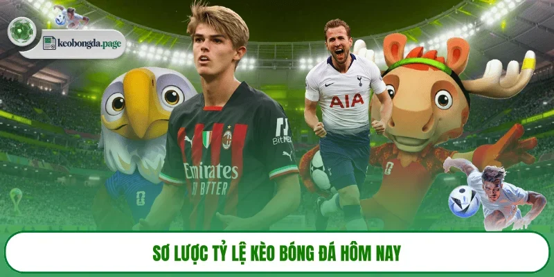 Sơ lược tỷ lệ kèo bóng đá hôm nay