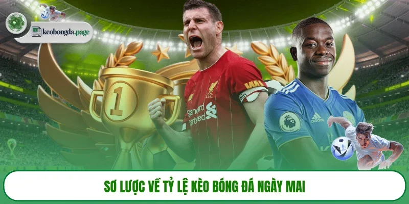 Sơ lược về tỷ lệ kèo bóng đá ngày mai 