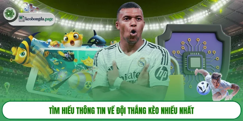 Tìm hiểu thông tin về đội thắng kèo nhiều nhất