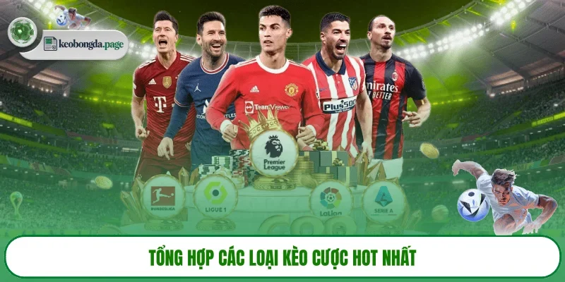 Tổng hợp các tỷ lệ kèo cược hot nhất
