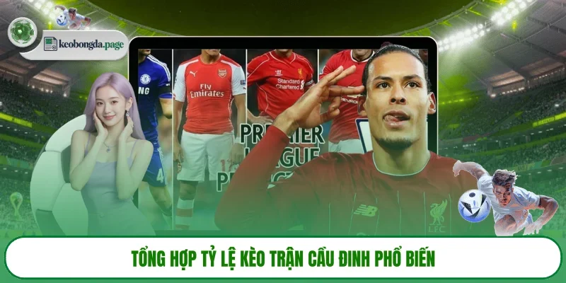 Tổng hợp tỷ lệ kèo trận cầu đinh phổ biến 