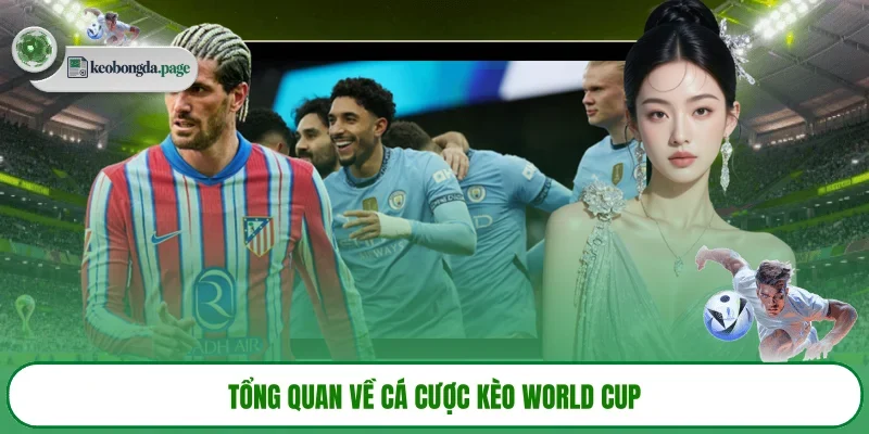 Tổng quan về cá cược kèo World Cup