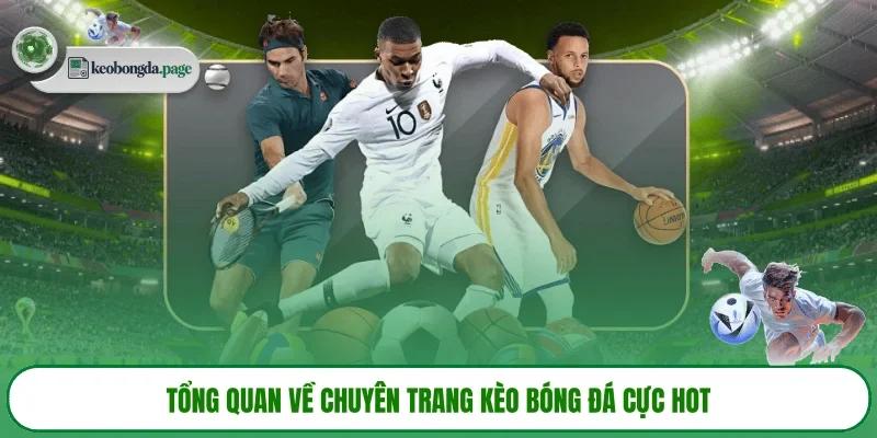 Tổng quan về chuyên trang KÈO BÓNG ĐÁ cực hot